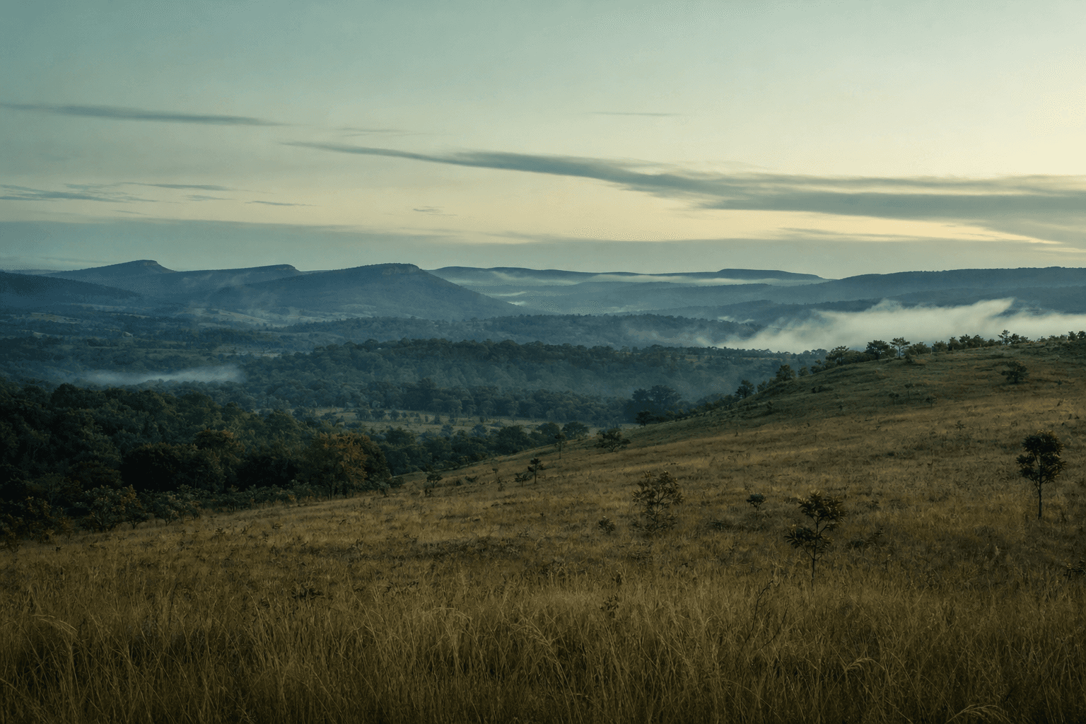 Horizonte aberto no cerrado — metáfora visual de clareza e crescimento